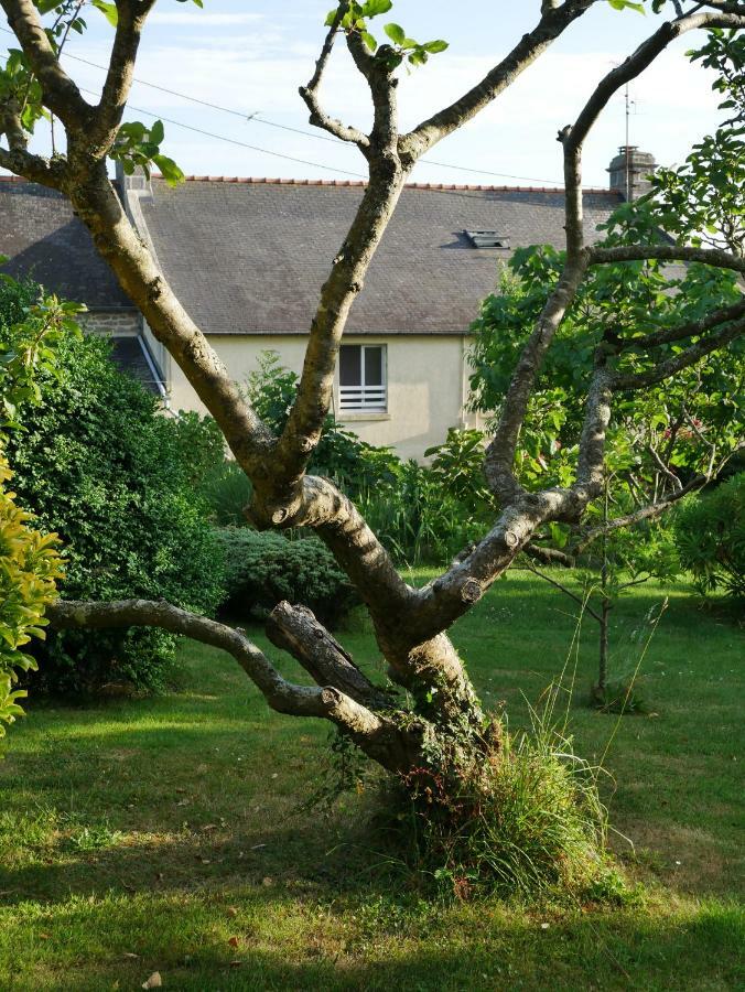 Chambre d'hôtes Douarnenez - Kerioret Izella Kerlaz Exterior foto